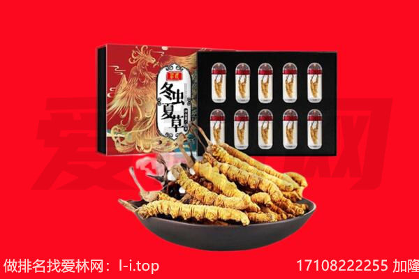 梧州市万秀回收虫草.jpg